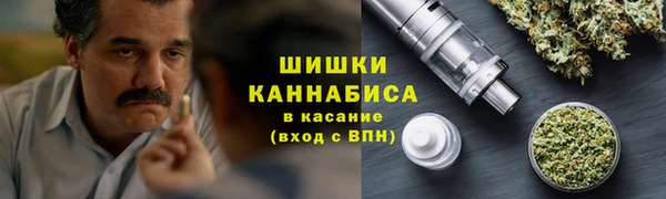 ECSTASY Богородицк